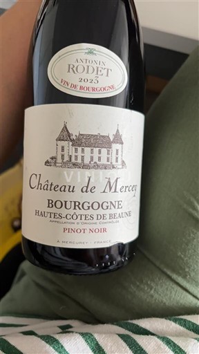 Bourgogne Hautes Côtes de beaune Château Mercey 2023
