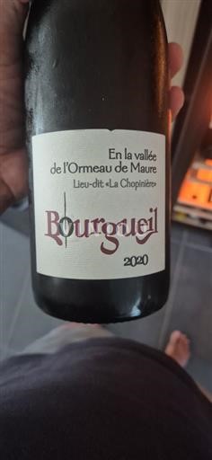 Loiredalen Bourgueil En la vallée de l'Ormeau de Maure Lieu-dit La Chopinière 2020