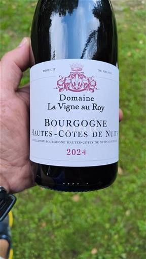 Borgogna Non specificato Domaine La Vigne au Roy 2024