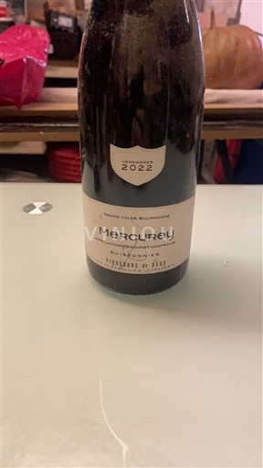 Bourgogne Mercurey 1er Cru Vignerons de Buxy 2022