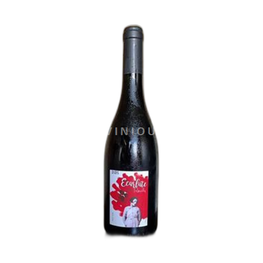 Loire Valley Reuilly Domaine Les s Tatin Ecarlate Pinot Noir 2021