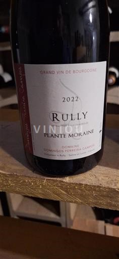 Burgundi Rully Domingos Ferreira Campos Plante Moraine 2022