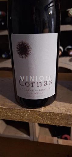Rhônevallei Cornas Domaine Lorient 2022