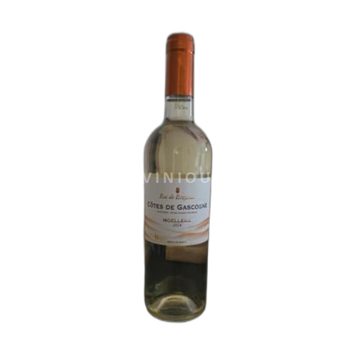 Sud-Ovest Côtes de Gascogne Roc de Breyssac 2024