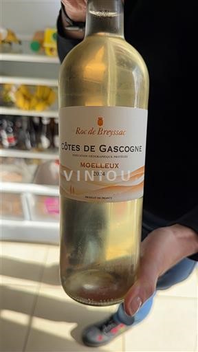 Jugperëndim Bregdeti i Gasconisë Roc de Breyssac 2024