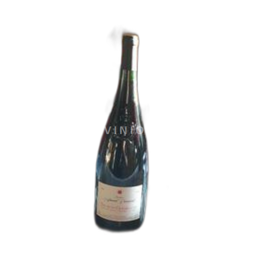Loiredalen Saumur-champigny Domaine Saint Vincent 2010