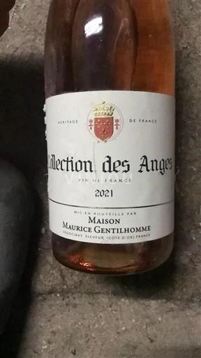 Bourgogne Maison Maurice Gentilhomme Collection des Anges 2021