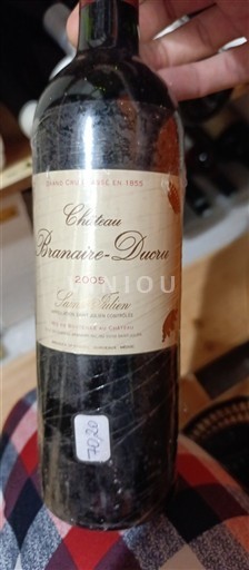 Bordéus Saint-Julien Grand Cru Château Branaire-Ducru 2005