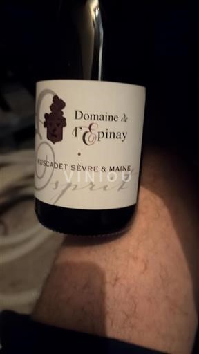 Loiredalen Muscadet-Sèvre-et-Maine Domaine L'Épinay Esprit 2022