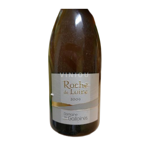 Loirevallei Muscadet-Coteaux-de-la-Loire Domaine Des Galloires Roche de Loire 2009