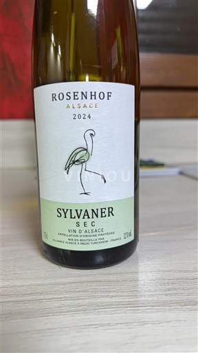 Elsass Rosenhof 2024