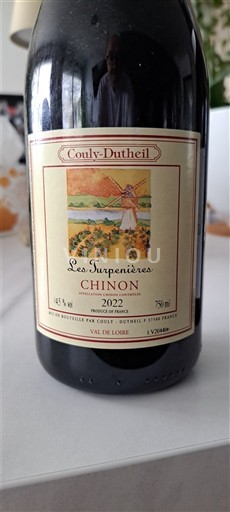 Valle della Loira Chinon Couly-Dutheil Les Turpenières 2022