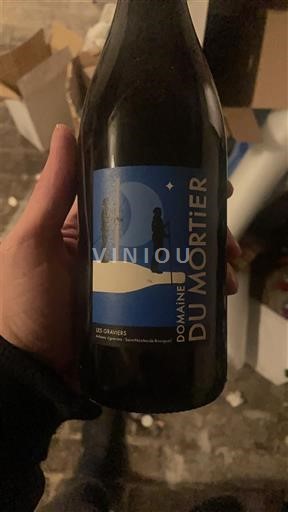 Loirevallei Saint-Nicolas-De-Bourgueil Domaine Mortier Les Graviers 2021