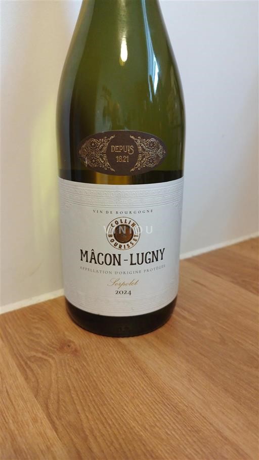 Borgogna Mâcon e Mâcon-Villages Collin Bourisset Sepolet 2024