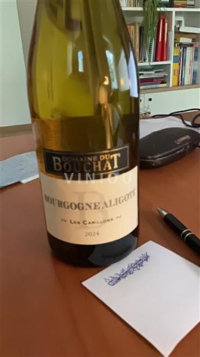 Bourgondië Bourgogne Aligoté Domaine Bouchat Les Carillons 2024