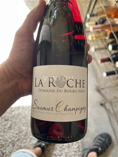 Loire Valley Saumur-Champigny Domaine Bourg Neuf 2024