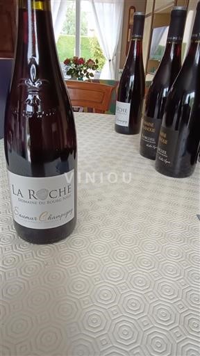 Loire Valley Saumur-Champigny Domaine Bourg Neuf La Roche 2024