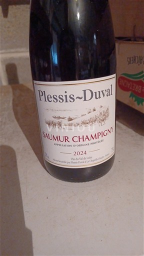 Loiren laakso Saumur-champigny Plessis-Duval 2024