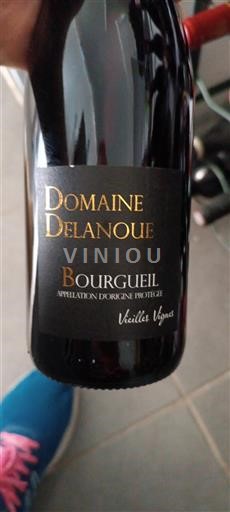 Loire Valley Bourgueil Domaine Delanoue Vieilles Vignes 2024