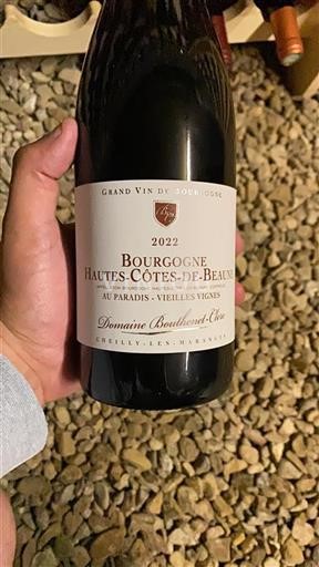 Bourgogne Ikke specificeret Domaine Boutheret-Clerc Au Paradis - Vieilles Vignes 2022