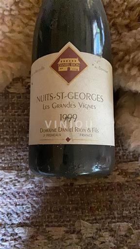 Burgundy Nuits-Saint-Georges Domaine Daniel Rion & Fils Les Grandes Vignes 1999