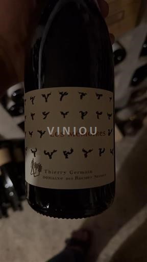 Loire-dalen Saumur-Champigny Domaine Des Roches Neuves Les Mémoires 2022