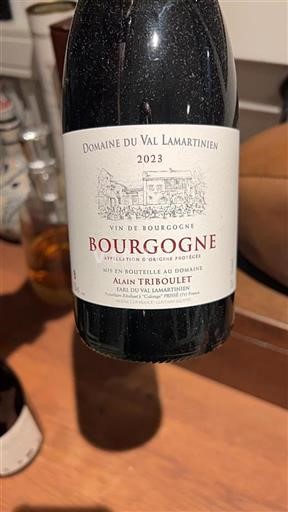 Bourgondië Bourgogne Domaine Val Lamartinien 2023
