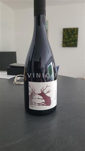 Valle della Loira Touraine-chenonceaux Vincent Roussely 2023