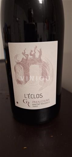 Vallée de la Loire Vincent Roussely L'éclos 2023