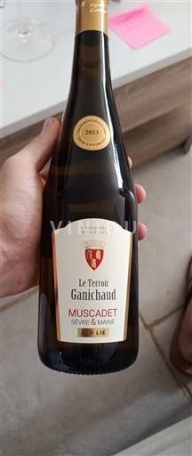 Loiredalen Muscadet-Sèvre-et-Maine Ganichaud Le Terroir 2023
