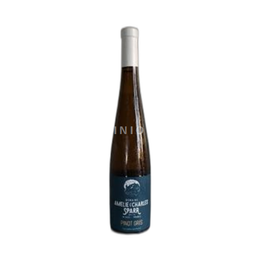 Alsace Pinot xám Domaine Amelie & Charles Sparr 2022