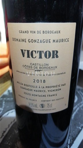 Bordeaux Castillon Côtes de Bordeaux Domaine Gonzague Maurice Victor 2018