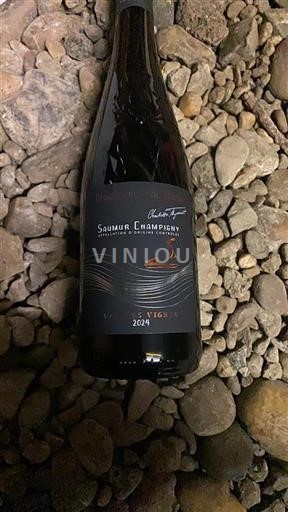 Valle della Loira Saumur-Champigny Domaine Val Brun Vielles Vignes 2024