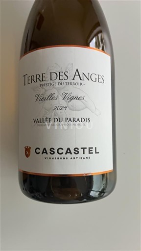 Languedoc in Roussillon Dolina paradiža Cascastel Vieilles Vignes 2024