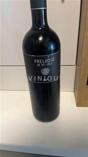 Castile and León Ribera del Duero Sei Solo Preludio 2021
