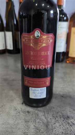Valle del Rodano Châteauneuf-du-Pape Valentin Fleur Les Trois Jumeaux 2018