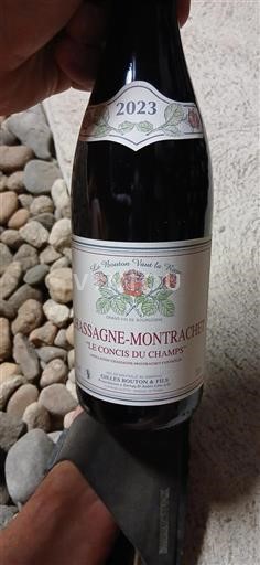 Burgundija Chassagne-Montrachet Gilles Bouton & Fils Le Concis du Champs 2023
