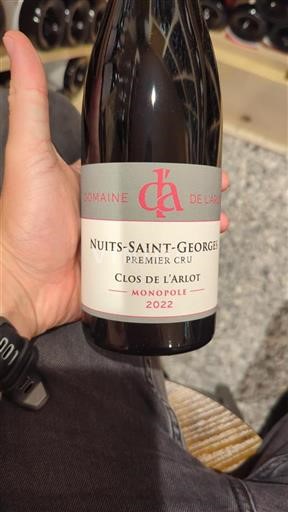Burgundsko Nuits-saint-georges Premier Cru Domaine L'Arlot Clos de l'Arlot 2022
