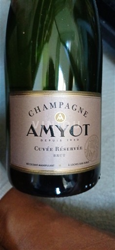 Champagne Champagner Amyot Réservée Ohne Jahrgang