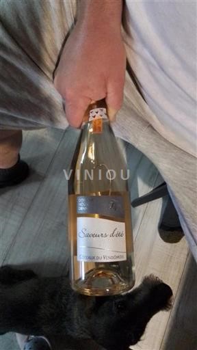 Loiretal Coteaux du Vendômois Domaine Nouvel Denis Saveurs d'été Ohne Jahrgang