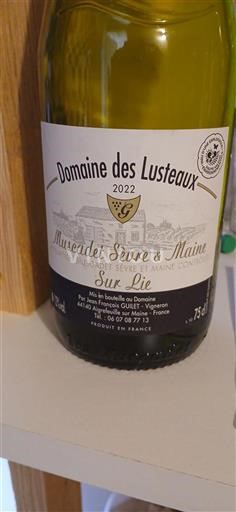 Loiredalen Muscadet-Sèvre-et-Maine Domaine Des Lusteaux Sur Lie 2022
