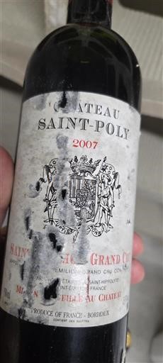 Bordeaux Saint-Émilion Grand Cru Grand Cru Château Saint-Poly 2007