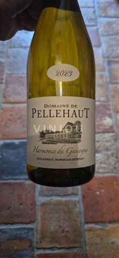 Jugozahod Côtes de Gascogne Domaine Pellehaut Harmonie de Gascogne 2023