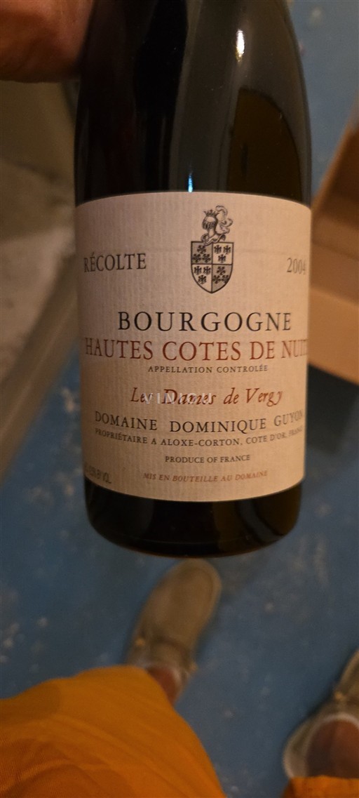Burgundija Hautes Côtes de Nuits Domaine Dominique Guyon Les Dames de Vergy 2004