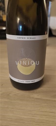 Alsace Pinot gris Sophie Schaal 2024