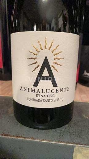 Sicílie Etna Contrada Santo Spirito Animalucente 2024