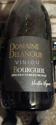 Loire Valley Bourgueil Domaine Delanoue Vieilles Vignes Non-Vintage