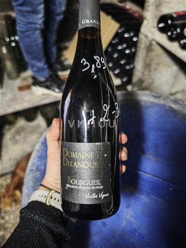 Valle della Loira Bourgueil Domaine Delanoue Vieilles Vignes Senza annata