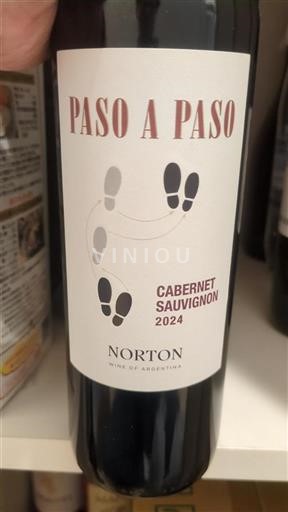 Mendoza Non specificato Norton Paso a Paso 2024