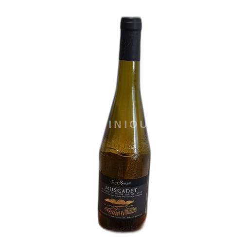 Vin Blanc sec Guy Saget 2023 France Vallée de la Loire Muscadet-sèvre-et-maine AOC